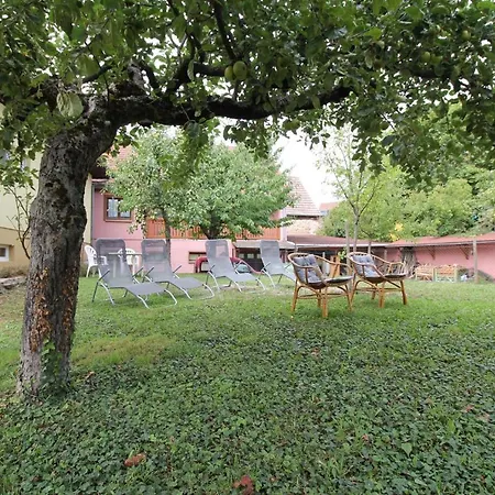 Les Lauriers De La Route Des Vins Villa Orschwihr Exterior photo